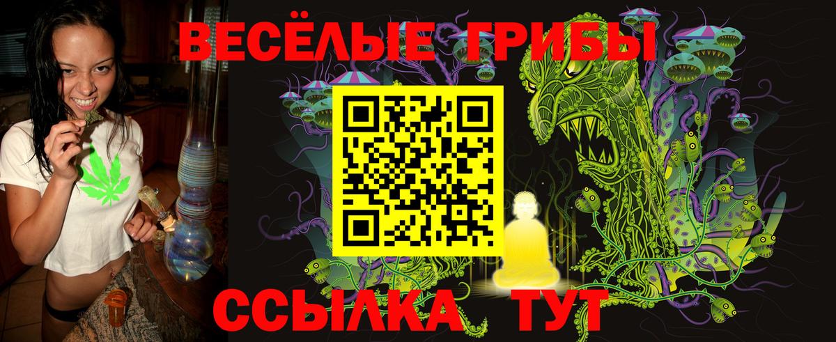 Псилоцибиновые грибы мицелий Похвистнево